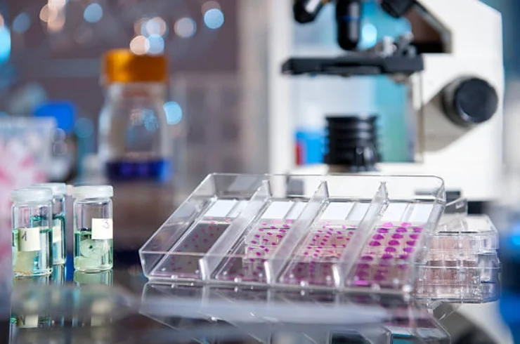 Immunohistochemistry (IHC)