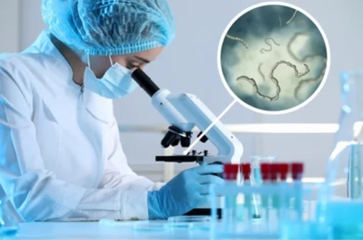 Stool Routine Examination